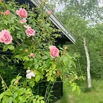 Cozy Summer House In With Historical Charm * Rørvig