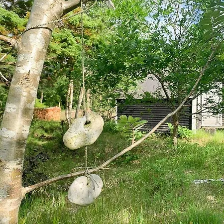 Cozy Summer House In With Historical Charm Rørvig