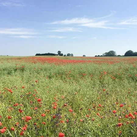 Casa de Férias Cozy Summer House In With Historical Charm