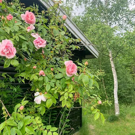 Cozy Summer House In With Historical Charm * Rørvig