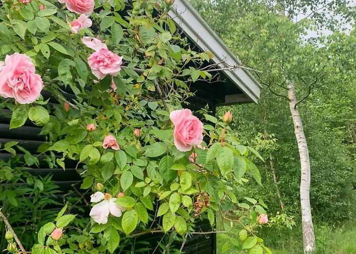 Cozy Summer House In With Historical Charm * Rørvig